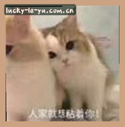 赵敏
